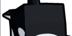 Orca