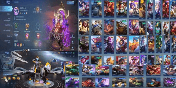Gambar Product Personal account Many limited skins (pension edition)