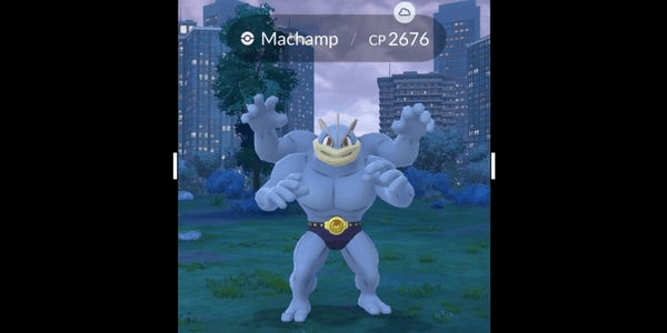 Gambar Product Machamp
