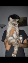 seller-image