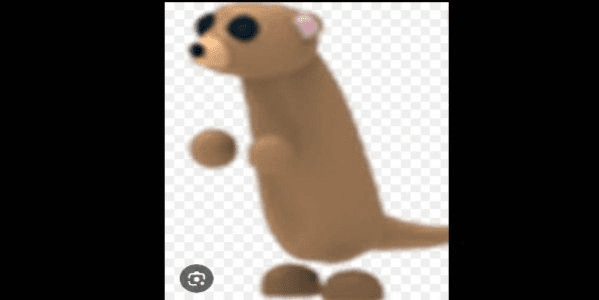 Gambar Product Meerkat adopt me