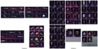 product-image-2