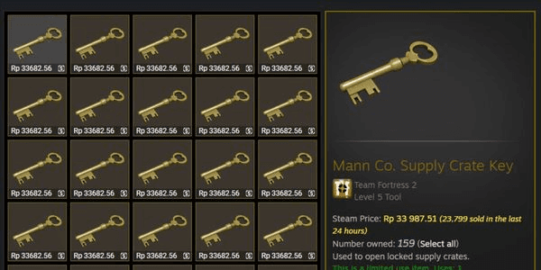 Gambar Product Mann Co. Supply Crate Key (TF2 Key)