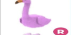 product-image-0