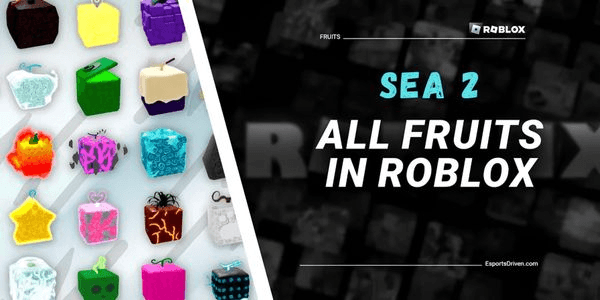 Gambar Product Blox Fruit - Gacha Fruit Sea 2