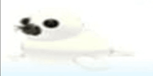 product-image-0