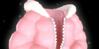 product-image-0