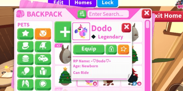 Gambar Product Dodo R (Pet Adopt Me)