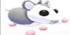 product-image-0