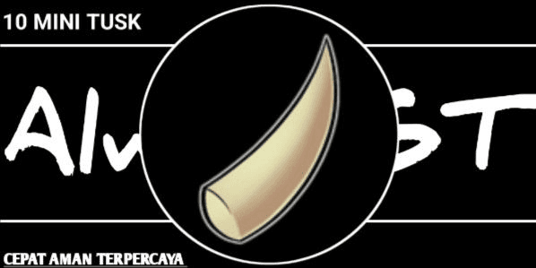 Material 10 Mini Tusk