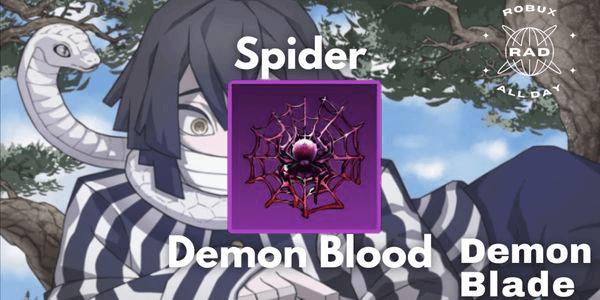 Gambar Product Spider (Rui)