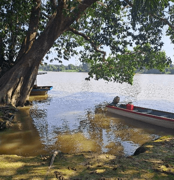 avatar Rantau Jaya