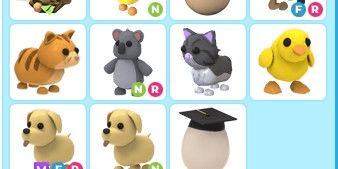 product-image-2
