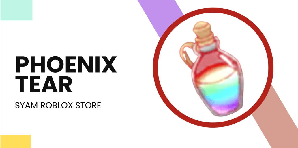 Product Showcase