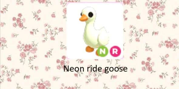 Gambar Product neon ride goose