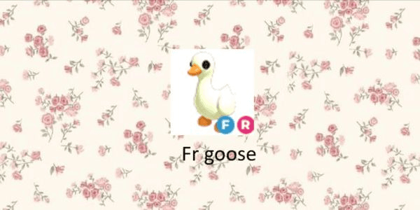 Gambar Product fly ride goose