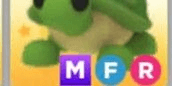 Gambar Product MFR Turtle