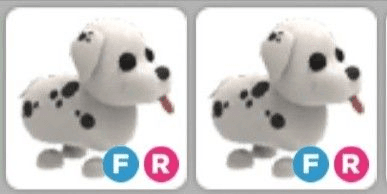 Gambar Product FR Dalmation