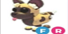 product-image-0