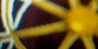 product-image-0