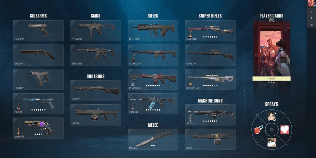 Product Showcase