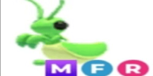 product-image-0