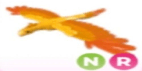 product-image-0