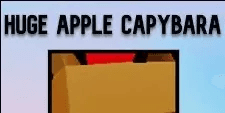 Huge Apple Capybara