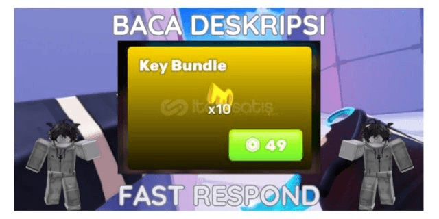 Product Showcase