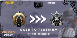 Gold To Platinum