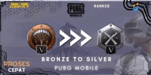 Bronze To Silver