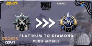 Platinum To Diamond