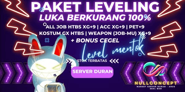 Gambar Product DURAN - Paket Hunt Leveling Mentok DDI 100 Fullset XG+9 HTBS Acc Weapon Pet & Kostum GX HTBS