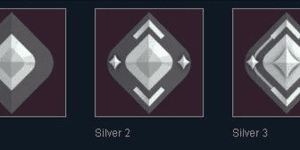 Silver per rank