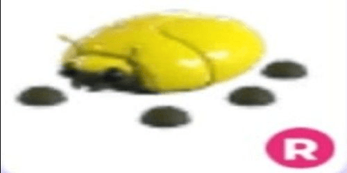 product-image-0