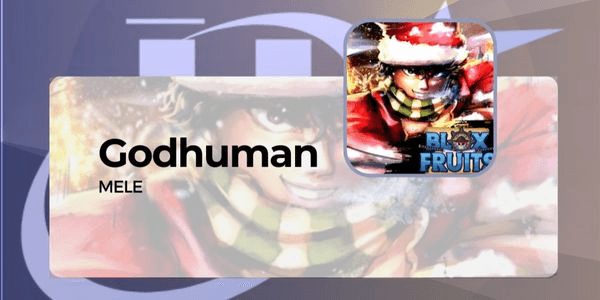 Gambar Product Fighting Style - Godhuman