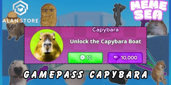 Gambar Product Capybara