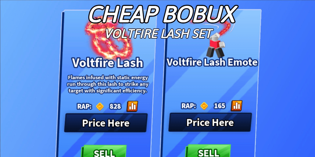 Product Showcase