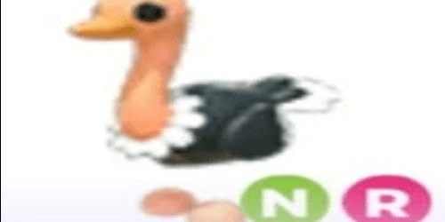 product-image-0