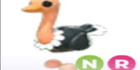 product-image-0