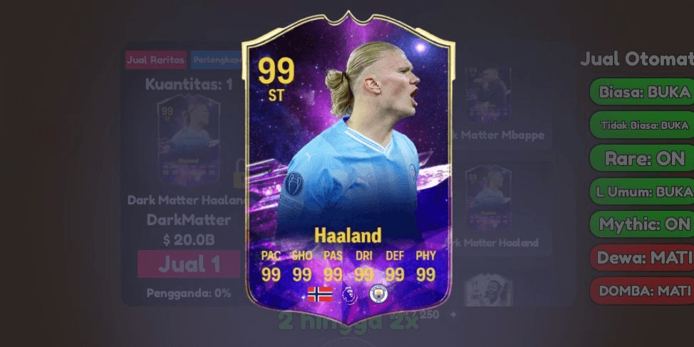 Product Showcase