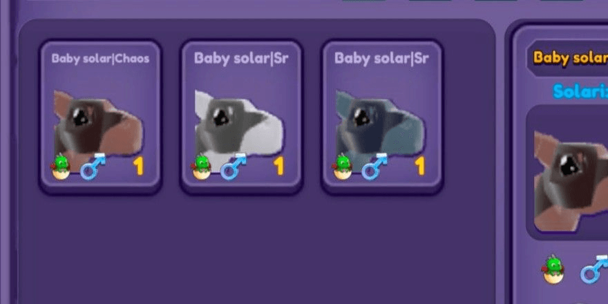 Product Showcase