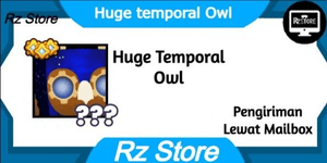 Huge Temporal Owl