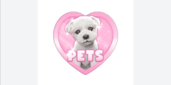 Gambar Product Pets - It Girl