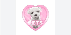 Pets - It Girl