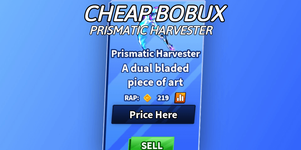 Product Showcase