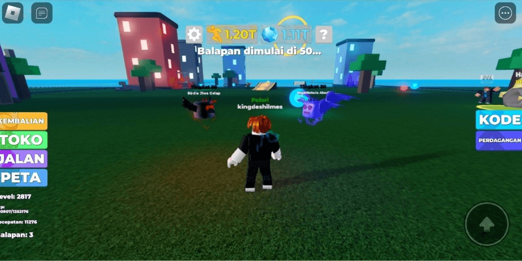 Product Showcase