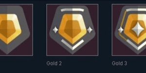 Gold - Platinum