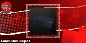 Skin Case 1