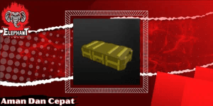 Skin Case 2